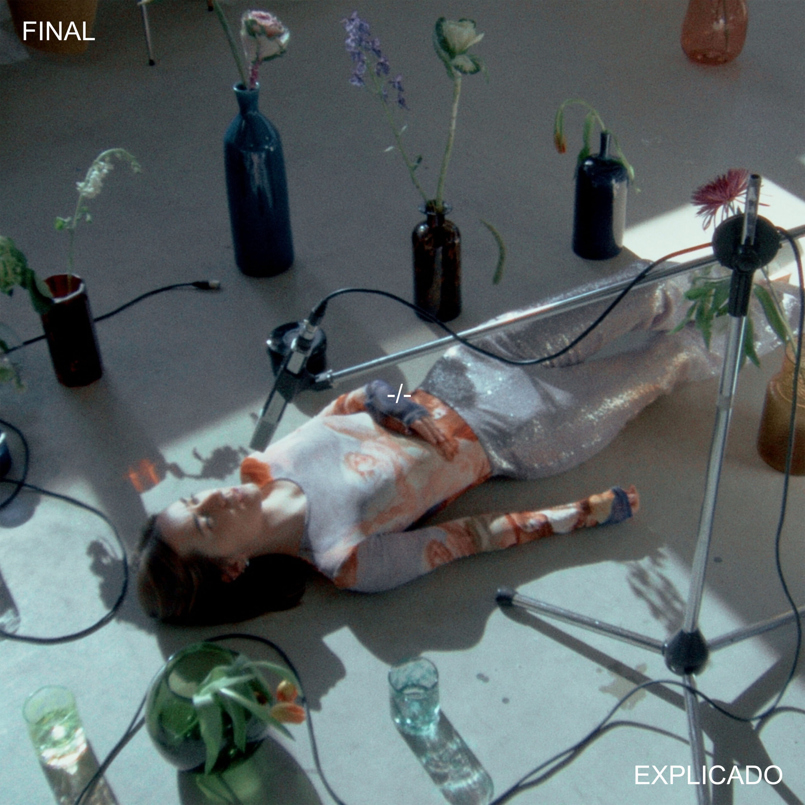 Imagen destacada de noticia: MARINITA PRECARIA "Final Explicado" Single y Video